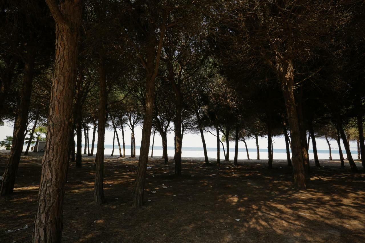 Pine-Tree Apt W/ Private Garden 50 M From The Sea Golem  Exterior foto